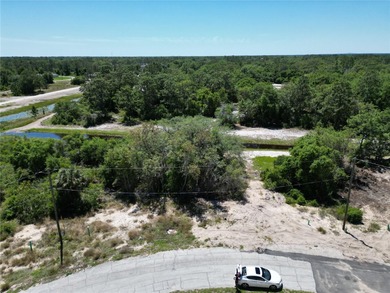 Lake Marion - Polk County Lot Sale Pending in Kissimmee Florida