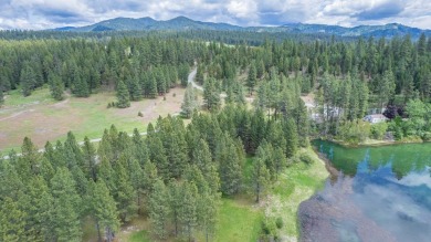 Lake Acreage For Sale in Newport, Washington