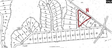 Lake Murray Lot For Sale in Chapin South Carolina