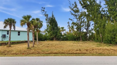 Punta Gorda Isles Area Lot For Sale in Punta Gorda Florida