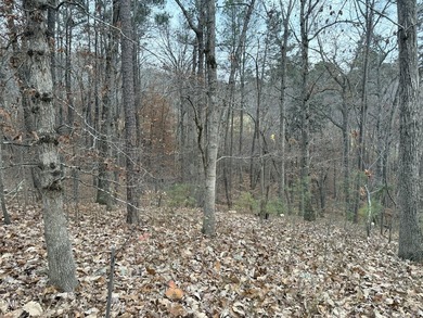 Serene Cul-de-sac location for this future home that lends - photo 12