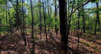 Cumberland Lakes Lot For Sale in Monterey Tennessee