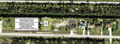 WATERFRONT OPPORTUNITY! Welcome to this oversized lot in Punta - photo 1