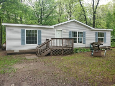 Long Lake - Mason County Home For Sale in Fountain Michigan