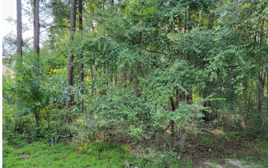 Suwannee River Lot For Sale in Live Oak Florida