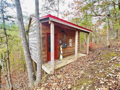 Escape to Rustic Hideaway -- your ultimate retreat in the woods! - photo 15