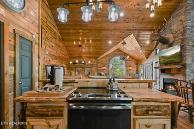 Escape to Rustic Hideaway -- your ultimate retreat in the woods! - photo 27