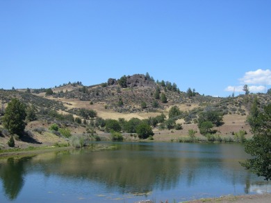 Iron Gate Reservoir Acreage For Sale in Hornbrook California