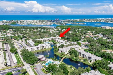 (private lake, pond, creek) Condo For Sale in Largo Florida