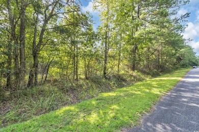 Welcome to Creekbend Road! Discover the perfect blend of peace - photo 3