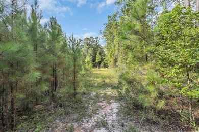 Welcome to Creekbend Road! Discover the perfect blend of peace - photo 4