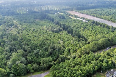 Welcome to Creekbend Road! Discover the perfect blend of peace - photo 8