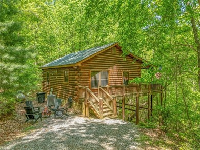 Cherry Log Lake Home For Sale in Blue Ridge Georgia