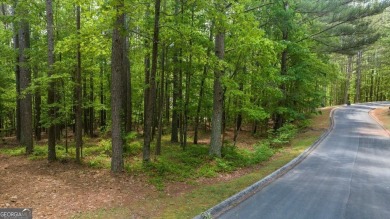 Lake Lot For Sale in Clarkesville, Georgia