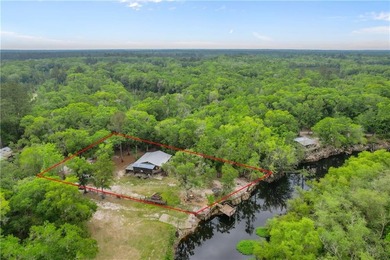 Tucked along a deeper section of the Satilla River in Lewis - photo 11