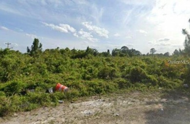 Lehigh Acres Area Lot For Sale in Lehigh Acres Florida
