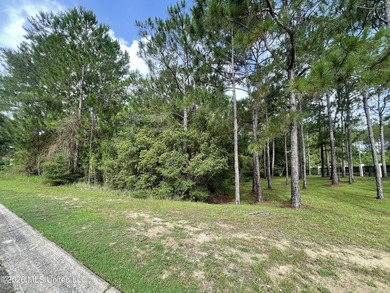 Looking for a beautiful golf community? Well you have found it - photo 11