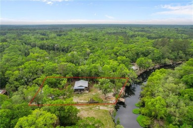 Tucked along a deeper section of the Satilla River in Lewis - photo 12