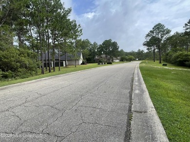 Looking for a beautiful golf community? Well you have found it - photo 12