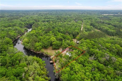 Tucked along a deeper section of the Satilla River in Lewis - photo 13