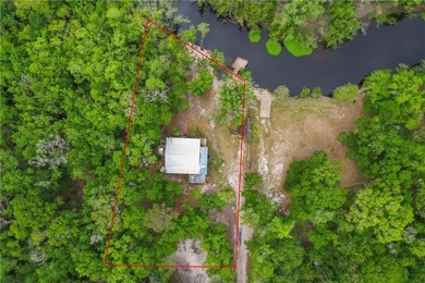 Tucked along a deeper section of the Satilla River in Lewis - photo 27