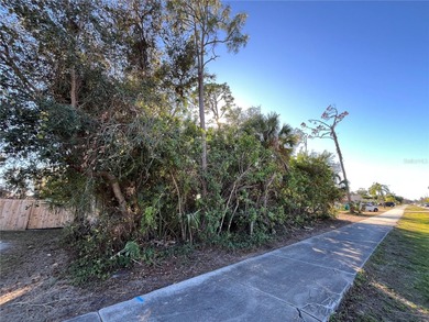 Port Charlotte Waterway Area Lot For Sale in Port Charlotte Florida