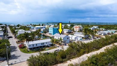Calling all Boaters! Elevated 3 bed, 2 bath home with 50 FT - photo 5