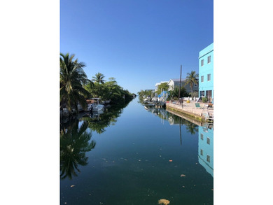 Calling all Boaters! Elevated 3 bed, 2 bath home with 50 FT - photo 8
