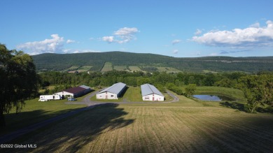 Lake Commercial For Sale in Middleburgh, New York