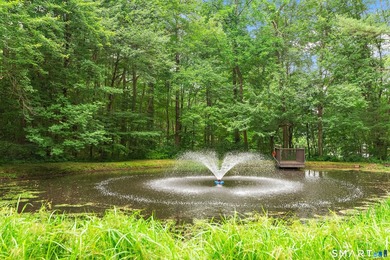 Welcome to this beautiful, private retreat at 15 Woodland Drive - photo 34