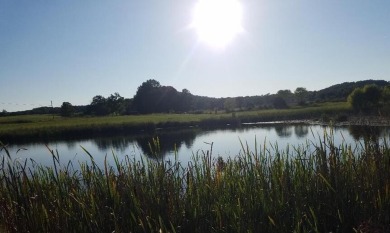 Lake Acreage For Sale in Pikeville, Tennessee