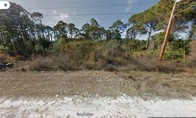 Lehigh Acres Area Lot Sale Pending in Lehigh Acres Florida