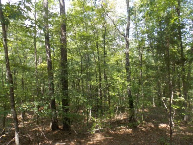 Lake Russell Lot For Sale in Lincolnton Georgia