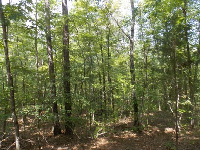 Strom Thurmond / Clarks Hill Lake Lot For Sale in Lincolnton Georgia