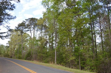 Unique property w/2-acre home site cleared & ready to build - photo 2