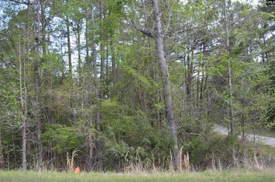 Unique property w/2-acre home site cleared & ready to build - photo 3