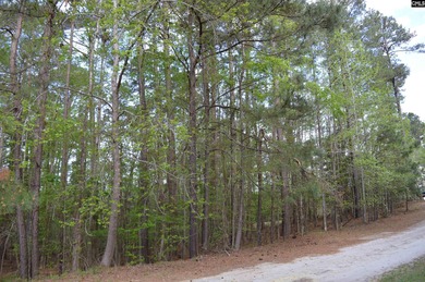 Unique property w/2-acre home site cleared & ready to build - photo 6