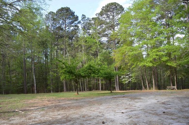 Unique property w/2-acre home site cleared & ready to build - photo 8