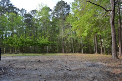 Unique property w/2-acre home site cleared & ready to build - photo 10