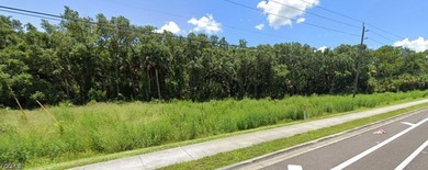 This is your chance to own an already assembled, large tract of - photo 2