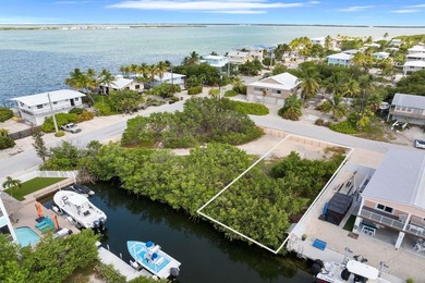 Canal-front vacant land with a building permit already in - photo 6