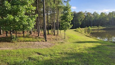 Lake Acreage For Sale in Jasper, Tennessee