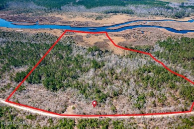 Neuse River Acreage For Sale in Grantsboro North Carolina
