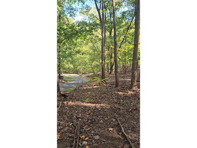 Lake Lot For Sale in Big Canoe, Georgia