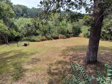 A peaceful setting close to Nolan point on Big Bull Shoals. No - photo 40