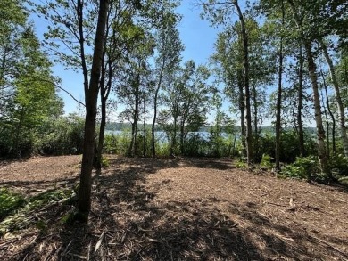 Lake Lot For Sale in Cotton, Minnesota