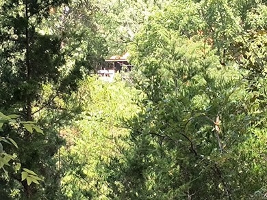 A peaceful setting close to Nolan point on Big Bull Shoals. No - photo 41