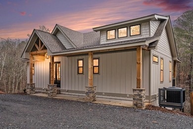 Coosawattee River - Gilmer County Home For Sale in Ellijay Georgia