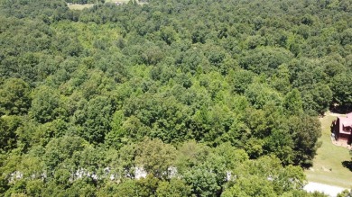 Lake Lot For Sale in Spencer, Tennessee