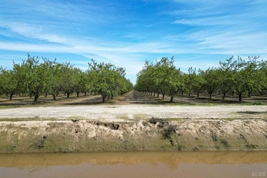 Income Producing Almonds/ Two (2) Homes/ Kings River Frontage - photo 11